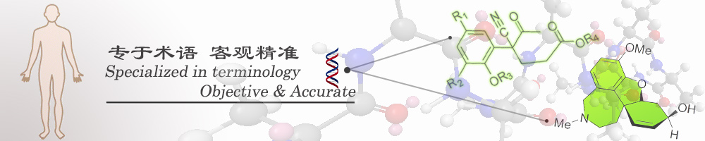 幻燈片一